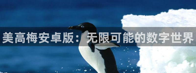 深圳市永盈电子有限公司：美高梅安卓版：无限可能的数字世界