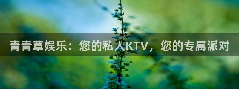 江苏永盈环卫服务有限公司：青青草娱乐：您的私人KTV，您的专属派对