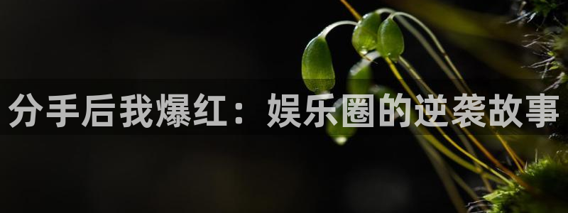 永盈棋牌69066mooc：分手后我爆红：娱乐圈的逆袭故事