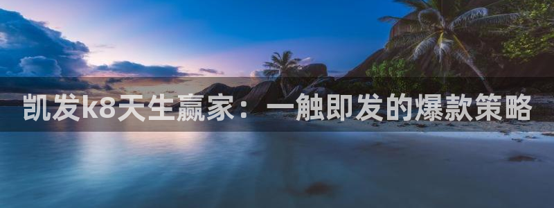 深圳市永盈电子有限公司：凯发k8天生赢家：一触即发的爆款策略