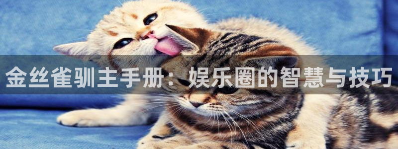 69066永盈：金丝雀驯主手册：娱乐圈的智慧与技巧