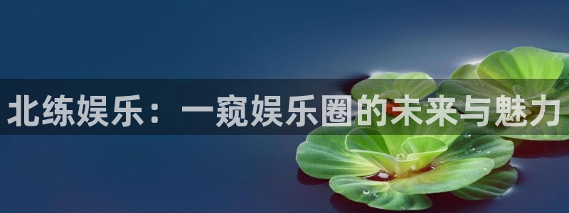 永盈先进制造智选混合c：北练娱乐：一窥娱乐圈的未来与魅力