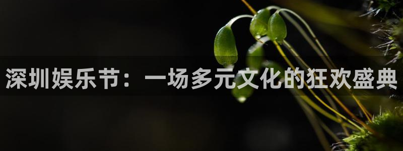 江苏永盈环卫服务有限公司：深圳娱乐节：一场多元文化的狂欢盛典