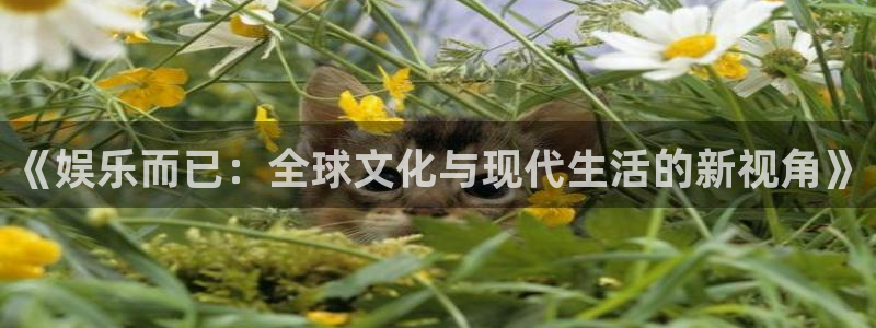 永盈官网入口网址是多少：《娱乐而已：全球文化与现代生活的新视角》