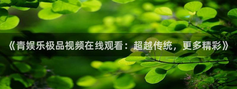 永盈：《青娱乐极品视频在线观看：超越传统，更多精彩》