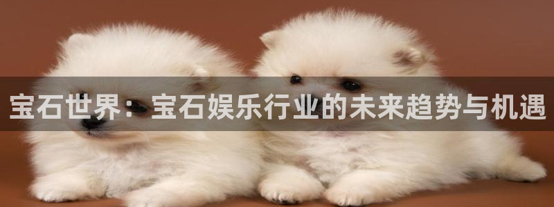 永盈旧版app：宝石世界：宝石娱乐行业的未来趋势与机遇